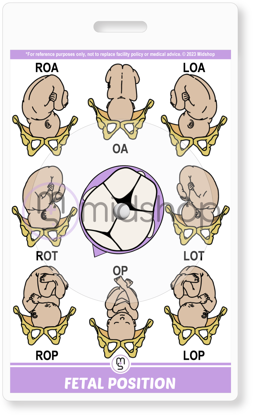 Fetal Position Wheel Tool Reference Card. Midwifery Student Reference Cards. Fetal Position. Vaginal Examination. Midwifery Reference Card. Purple Birth Suite. Midshop