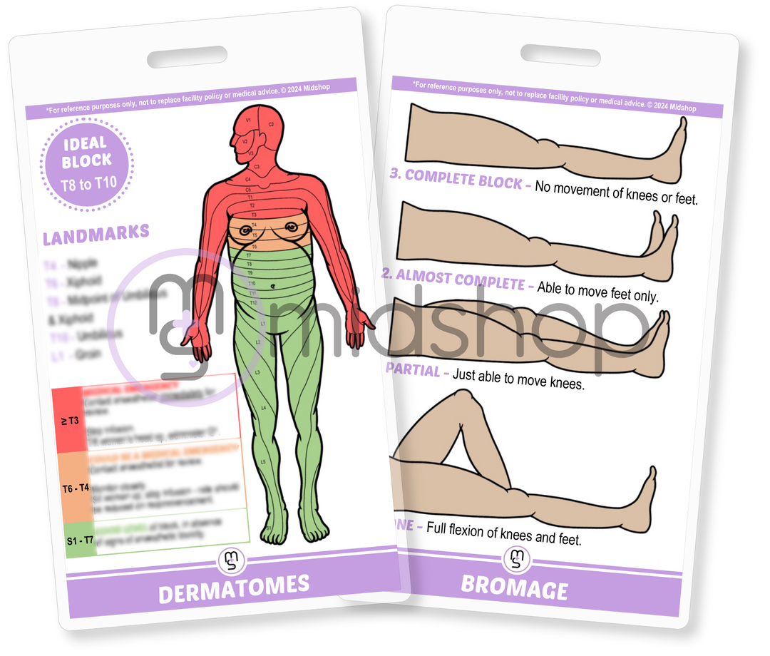 Dermatomes and Bromage in Pregnant Women. Maternal Dermatomes. Maternal Bromage. Anaesthetics in Midwifery. Epidural levels. Pain Relief in birth. Midshop. Anaesthetics in pregnancy