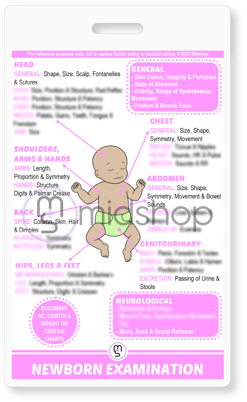 Newborn Examination Reference Card. Midwifery Student Reference Cards. Baby Observation Reference Card. Neonatal Reference Card. Midwifery Reference Card. Pink Neonatal. Midshop