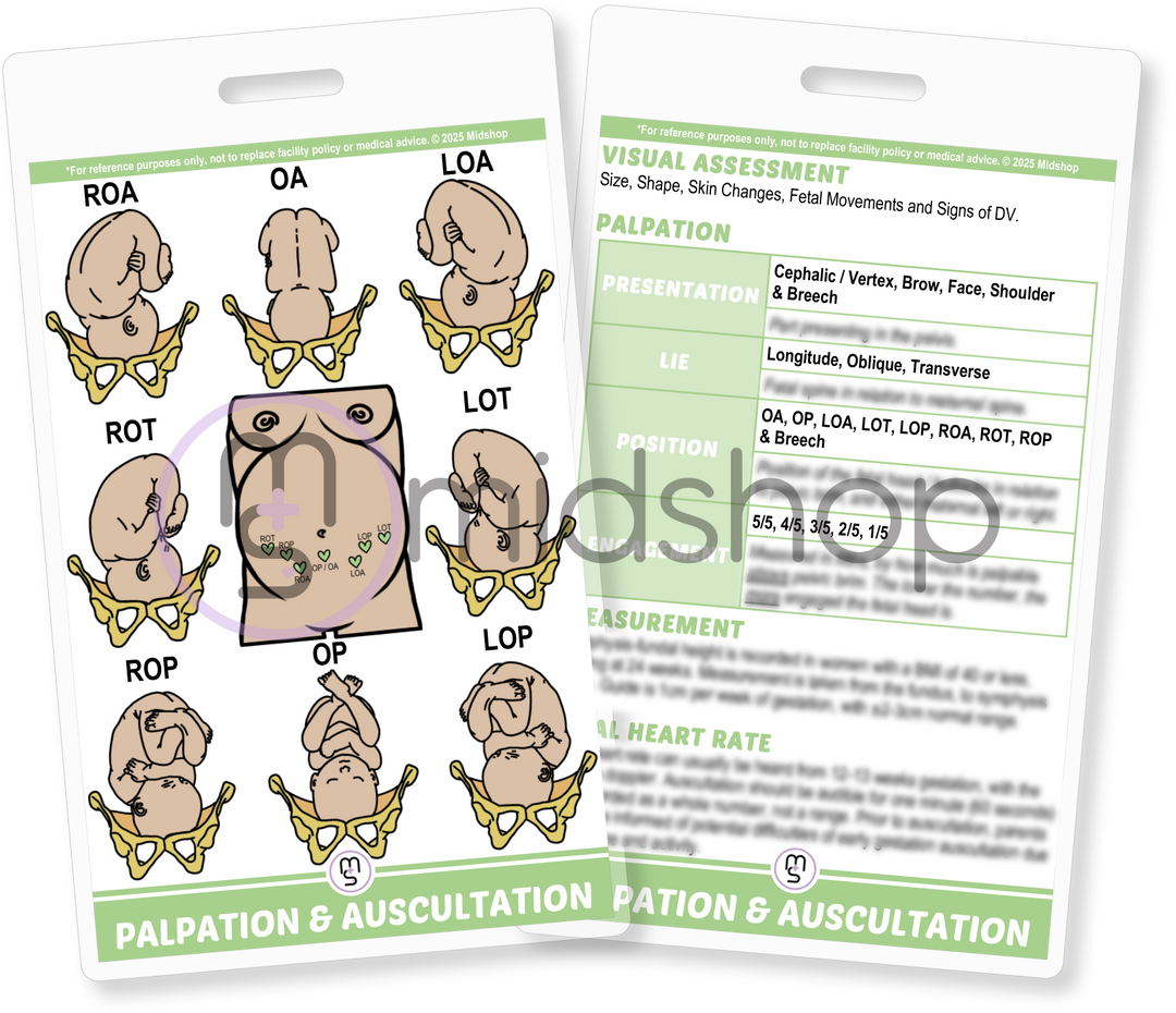 Finding the fetal heart rate. Where to put Doppler to hear baby. Listening to fetal heart rate. FHR Locations. Fetal Positioning. Locating the fetal heart. Presentation, Lie, Position, Engagement.